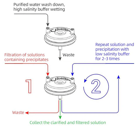 Streamlining Protein Purification: Enhancing Efficiency with Ammonium Sulfate Precipitation and Depth Filtration